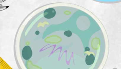 Fourth Edition of The Squawk